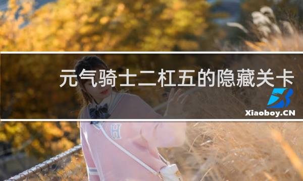 元气骑士二杠五的隐藏关卡