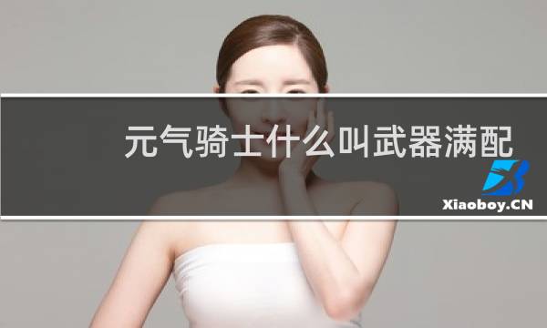元气骑士什么叫武器满配