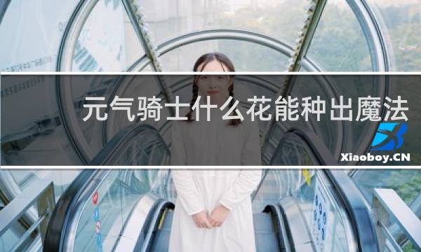 元气骑士什么花能种出魔法