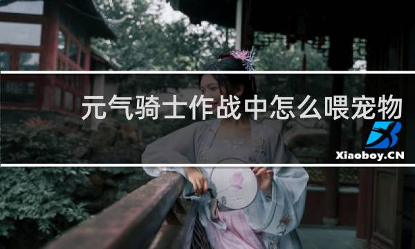 元气骑士作战中怎么喂宠物