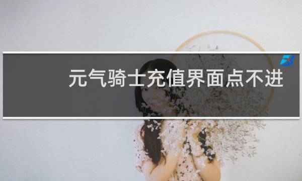 元气骑士充值界面点不进