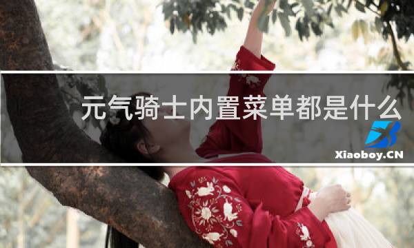 元气骑士内置菜单都是什么