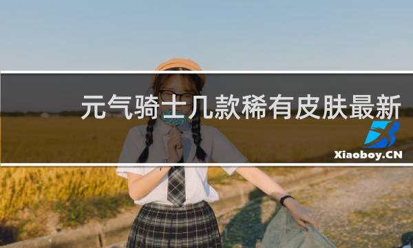 元气骑士几款稀有皮肤最新