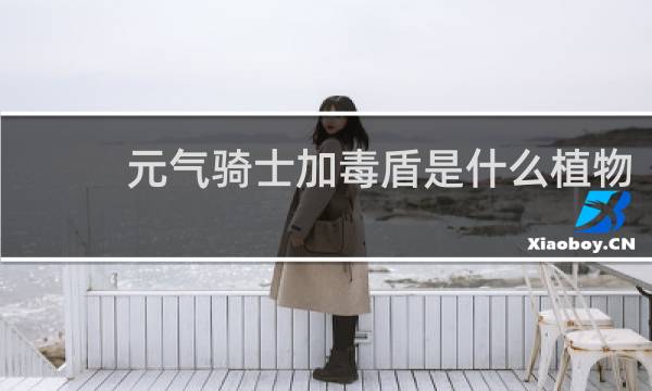 元气骑士加毒盾是什么植物