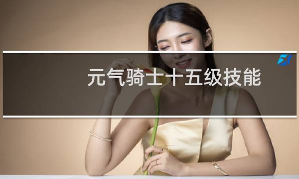 元气骑士十五级技能