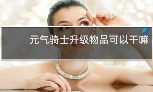 元气骑士升级物品可以干嘛