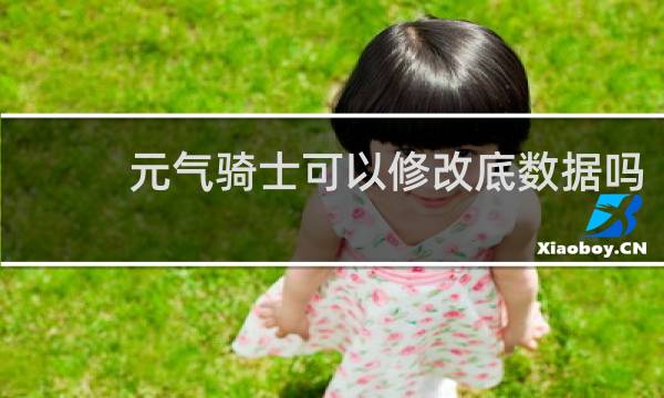 元气骑士可以修改底数据吗