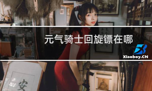 元气骑士回旋镖在哪