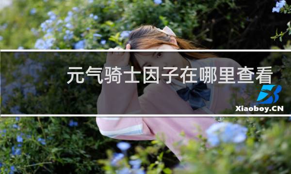 元气骑士因子在哪里查看