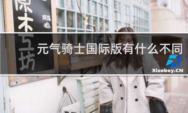元气骑士国际版有什么不同