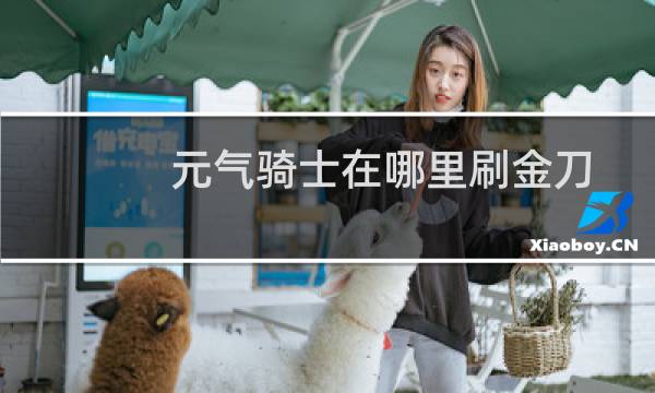 元气骑士在哪里刷金刀