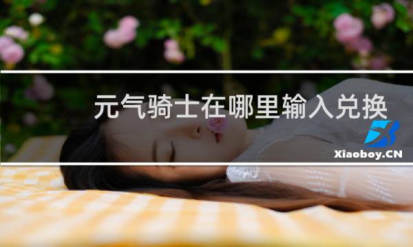 元气骑士在哪里输入兑换