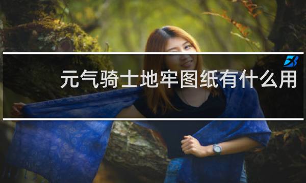 元气骑士地牢图纸有什么用