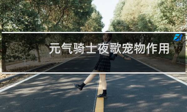 元气骑士夜歌宠物作用
