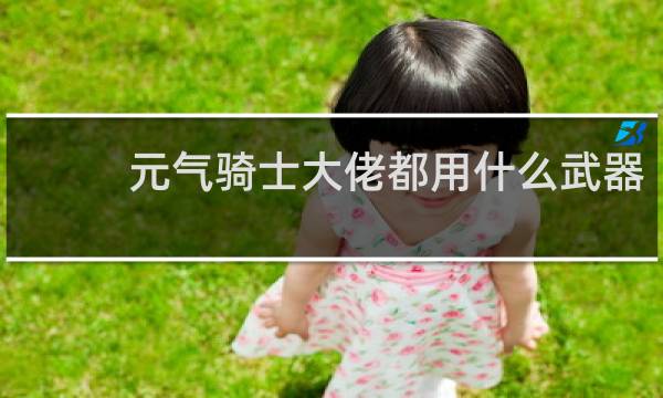 元气骑士大佬都用什么武器