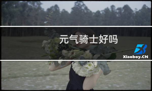 元气骑士好吗