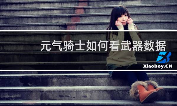 元气骑士如何看武器数据