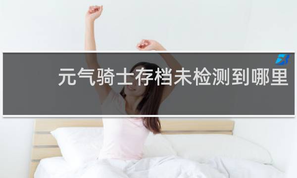 元气骑士存档未检测到哪里