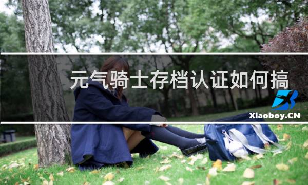 元气骑士存档认证如何搞