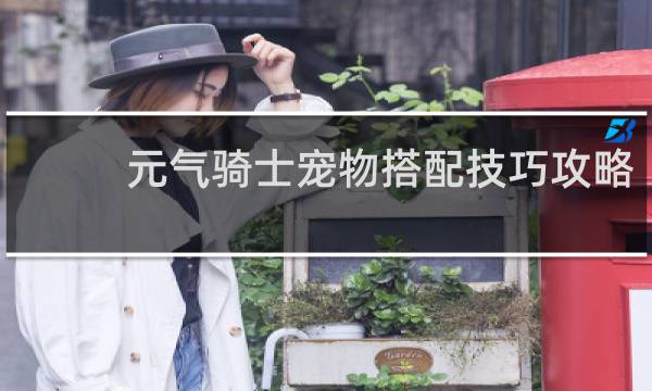 元气骑士宠物搭配技巧攻略