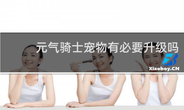 元气骑士宠物有必要升级吗