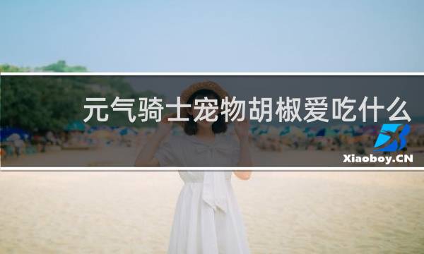 元气骑士宠物胡椒爱吃什么