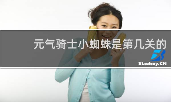 元气骑士小蜘蛛是第几关的