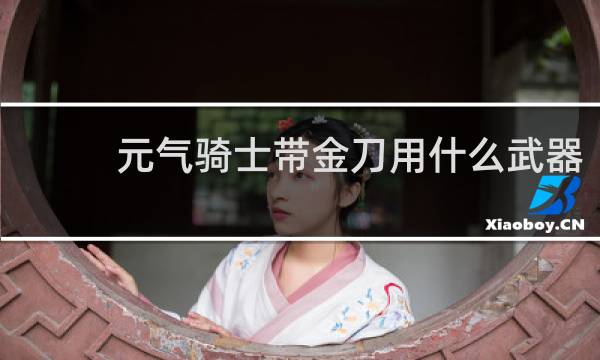 元气骑士带金刀用什么武器