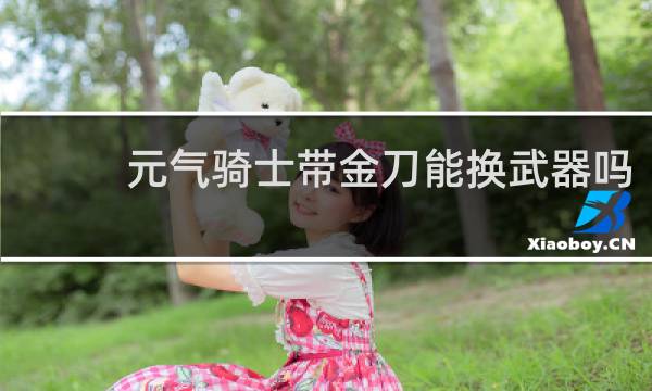 元气骑士带金刀能换武器吗