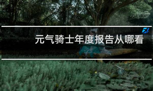 元气骑士年度报告从哪看