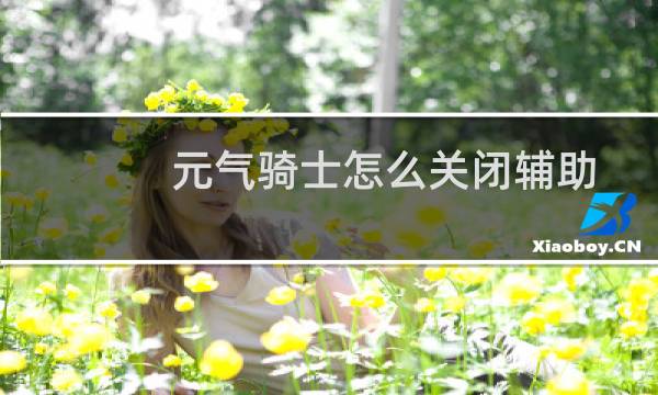 元气骑士怎么关闭辅助