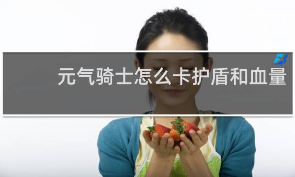 元气骑士怎么卡护盾和血量