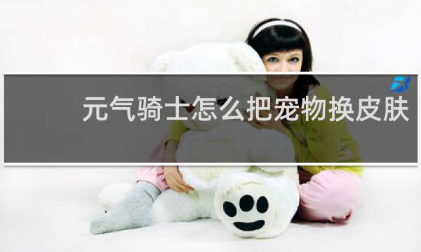 元气骑士怎么把宠物换皮肤