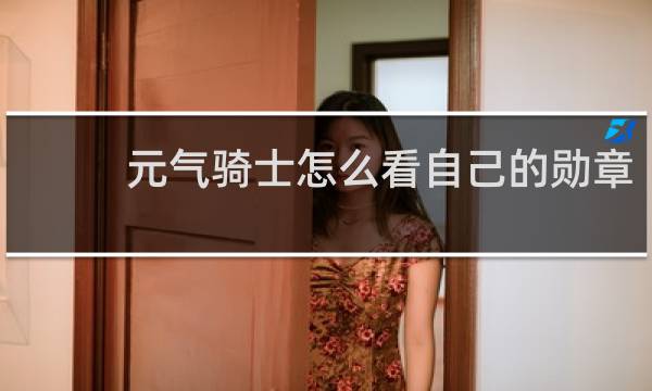 元气骑士怎么看自己的勋章