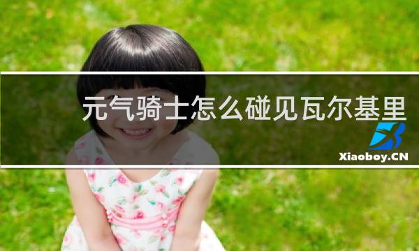 元气骑士怎么碰见瓦尔基里