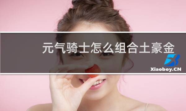 元气骑士怎么组合土豪金