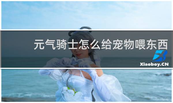 元气骑士怎么给宠物喂东西