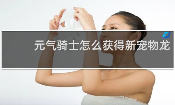 元气骑士怎么获得新宠物龙