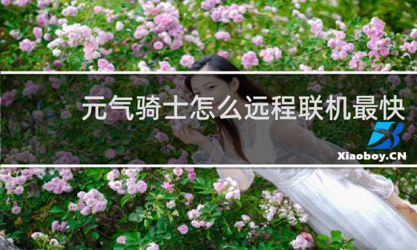 元气骑士怎么远程联机最快