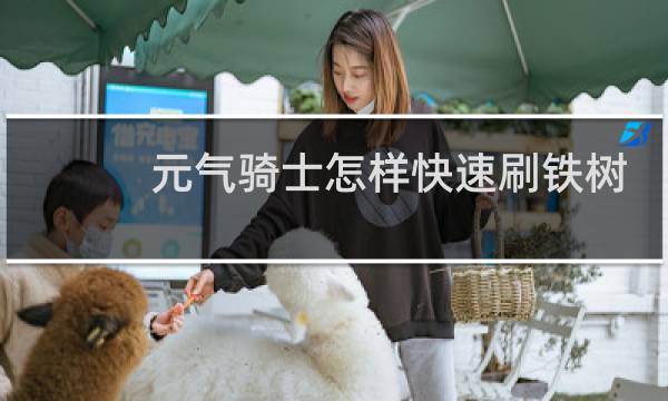 元气骑士怎样快速刷铁树