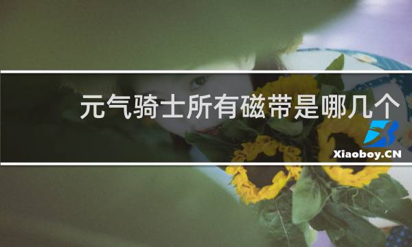 元气骑士所有磁带是哪几个