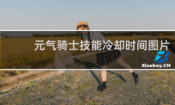 元气骑士技能冷却时间图片