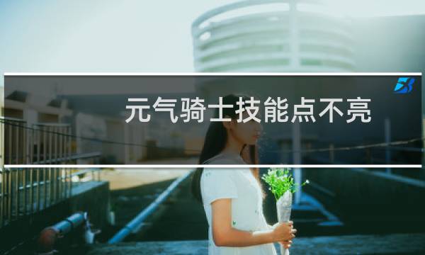 元气骑士技能点不亮