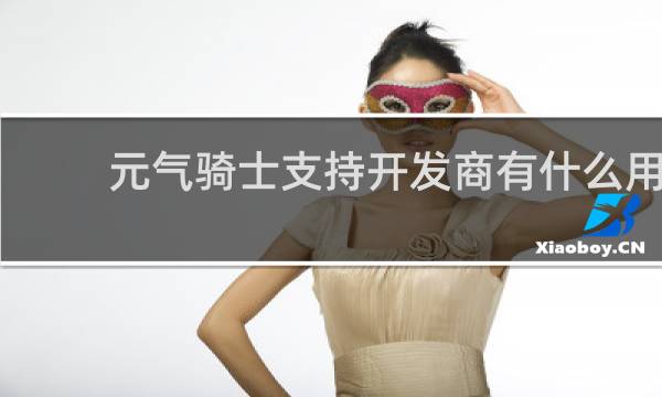 元气骑士支持开发商有什么用