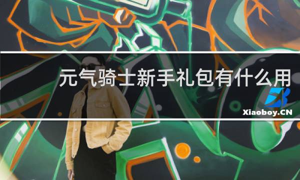 元气骑士新手礼包有什么用