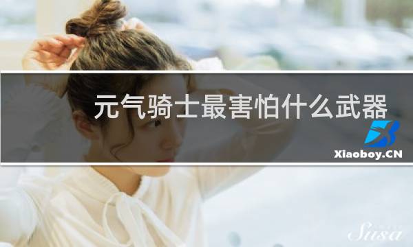 元气骑士最害怕什么武器