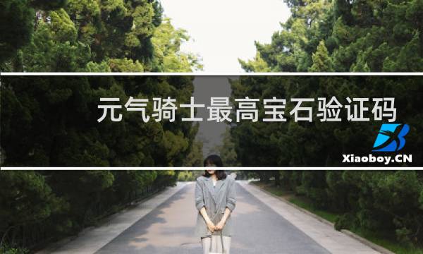 元气骑士最高宝石验证码