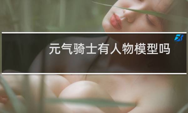 元气骑士有人物模型吗
