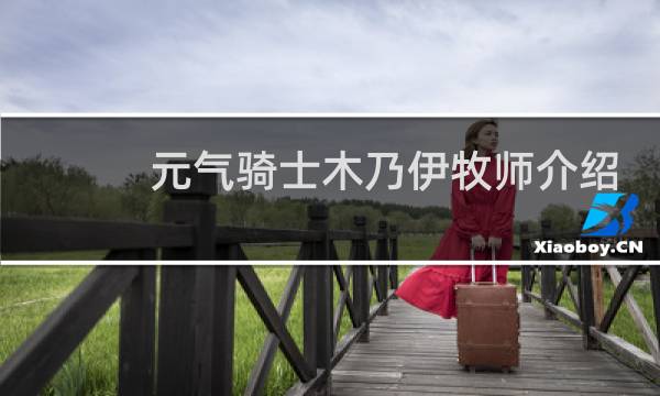 元气骑士木乃伊牧师介绍