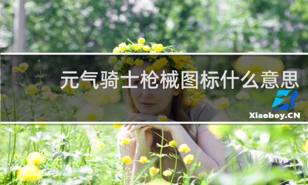 元气骑士枪械图标什么意思